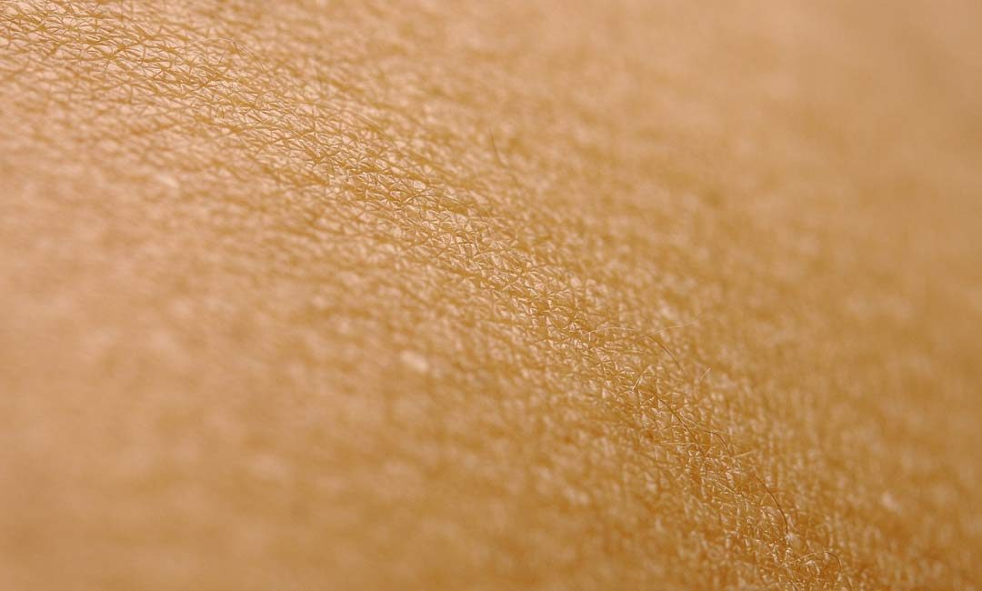 The Benefits of Bakuchiol – The New Beauty Buzzword