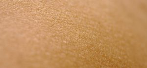The Benefits of Bakuchiol – The New Beauty Buzzword