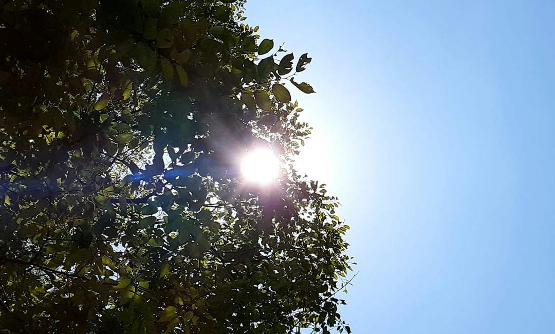 The Importance of Vitamin D – What You Need to Know