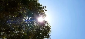The Importance of Vitamin D – What You Need to Know
